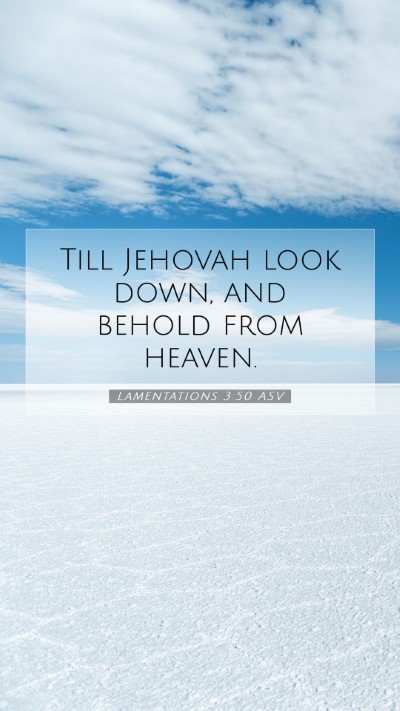 Picture 07 - Lamentations 3:50 ASV Mobile Phone Wallpaper - Till Jehovah look down, and behold from - Mobile Bible Verse Wallpaper
