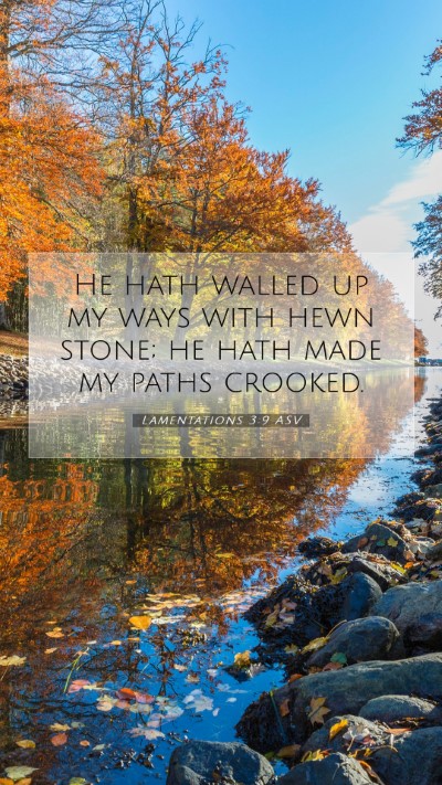 Picture 07 - Lamentations 3:9 ASV Mobile Phone Wallpaper - He hath walled up my ways with hewn stone; he - Mobile Bible Verse Wallpaper