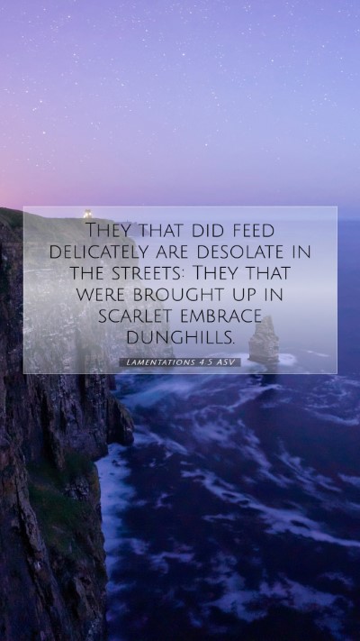Picture 07 - Lamentations 4:5 ASV Mobile Phone Wallpaper - They that did feed delicately are desolate in the - Mobile Bible Verse Wallpaper