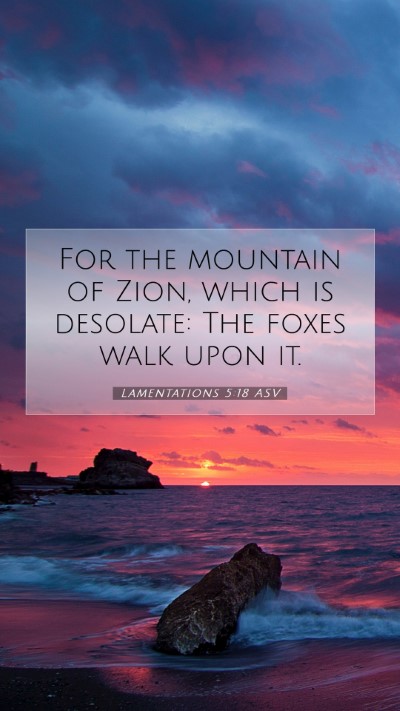 Picture 07 - Lamentations 5:18 ASV Mobile Phone Wallpaper - For the mountain of Zion, which is desolate: The - Mobile Bible Verse Wallpaper