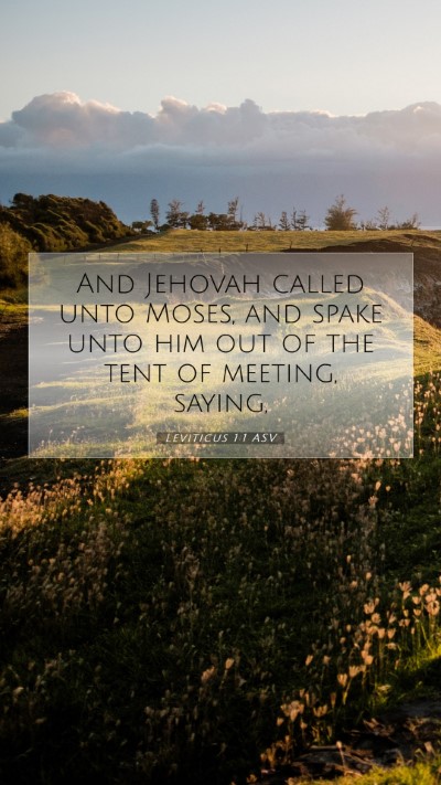 Picture 07 - Leviticus 1:1 ASV Mobile Phone Wallpaper - And Jehovah called unto Moses, and spake unto him - Mobile Bible Verse Wallpaper