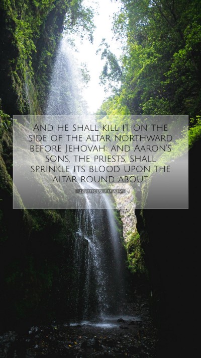 Picture 07 - Leviticus 1:11 ASV Mobile Phone Wallpaper - And he shall kill it on the side of the altar - Mobile Bible Verse Wallpaper