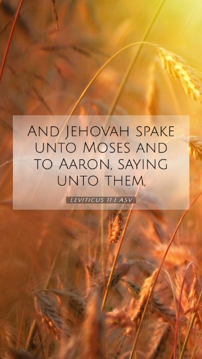 Picture 07 - Leviticus 11:1 ASV Mobile Phone Wallpaper - And Jehovah spake unto Moses and to Aaron, saying - Mobile Bible Verse Wallpaper