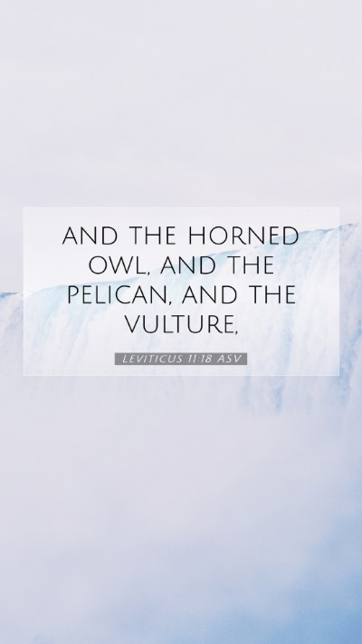 Picture 07 - Leviticus 11:18 ASV Mobile Phone Wallpaper - and the horned owl, and the pelican, and the - Mobile Bible Verse Wallpaper