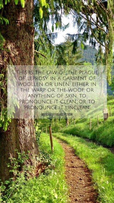 Picture 07 - Leviticus 13:59 ASV Mobile Phone Wallpaper - This is the law of the plague of leprosy in a - Mobile Bible Verse Wallpaper