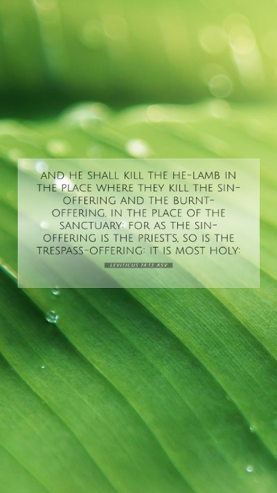 Picture 07 - Leviticus 14:13 ASV Mobile Phone Wallpaper - and he shall kill the he-lamb in the place where - Mobile Bible Verse Wallpaper