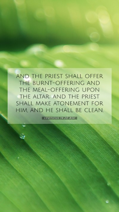 Picture 07 - Leviticus 14:20 ASV Mobile Phone Wallpaper - and the priest shall offer the burnt-offering and - Mobile Bible Verse Wallpaper