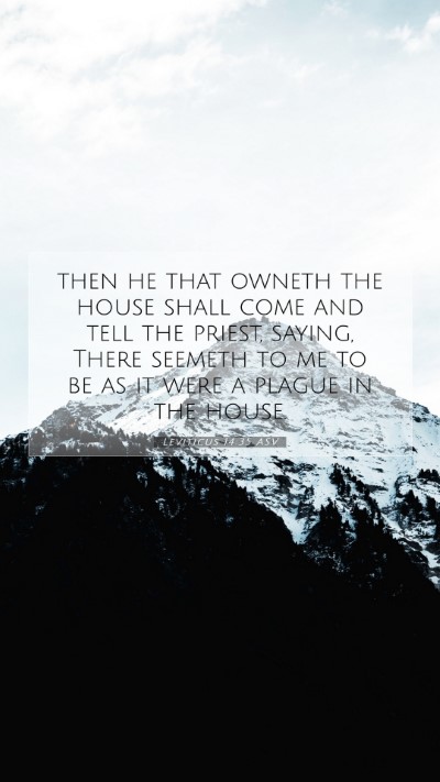 Picture 07 - Leviticus 14:35 ASV Mobile Phone Wallpaper - then he that owneth the house shall come and tell - Mobile Bible Verse Wallpaper