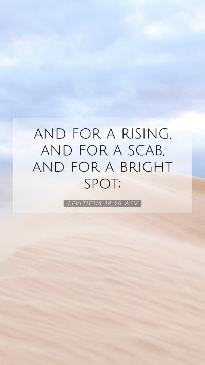 Picture 07 - Leviticus 14:56 ASV Mobile Phone Wallpaper - and for a rising, and for a scab, and for a - Mobile Bible Verse Wallpaper