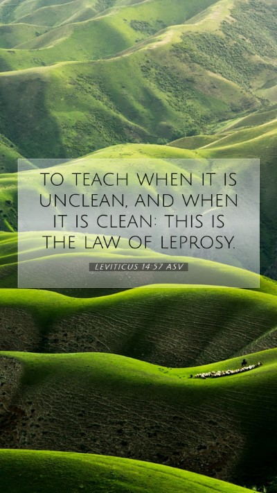 Picture 07 - Leviticus 14:57 ASV Mobile Phone Wallpaper - to teach when it is unclean, and when it is - Mobile Bible Verse Wallpaper