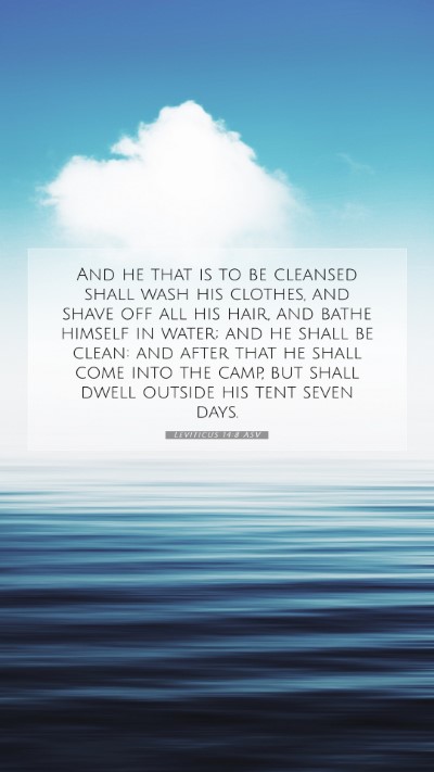Picture 07 - Leviticus 14:8 ASV Mobile Phone Wallpaper - And he that is to be cleansed shall wash his - Mobile Bible Verse Wallpaper