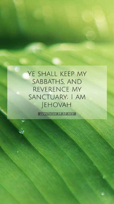 Picture 07 - Leviticus 19:30 ASV Mobile Phone Wallpaper - Ye shall keep my sabbaths, and reverence my - Mobile Bible Verse Wallpaper
