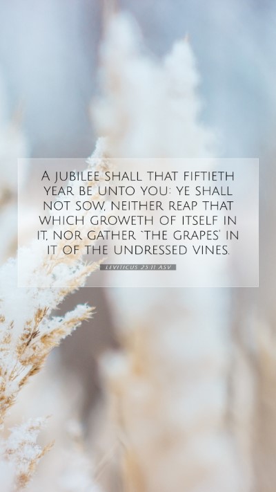 Picture 07 - Leviticus 25:11 ASV Mobile Phone Wallpaper - A jubilee shall that fiftieth year be unto you: - Mobile Bible Verse Wallpaper