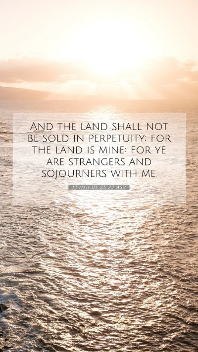Picture 07 - Leviticus 25:23 ASV Mobile Phone Wallpaper - And the land shall not be sold in perpetuity; for - Mobile Bible Verse Wallpaper
