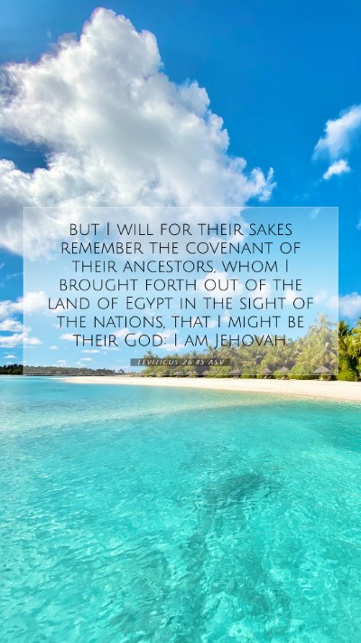 Picture 07 - Leviticus 26:45 ASV Mobile Phone Wallpaper - but I will for their sakes remember the covenant - Mobile Bible Verse Wallpaper