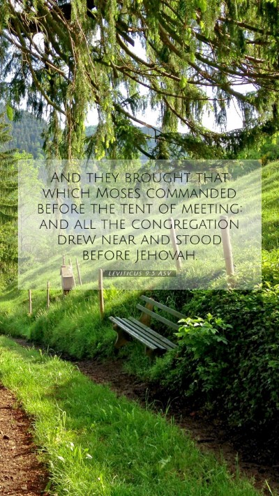Picture 07 - Leviticus 9:5 ASV Mobile Phone Wallpaper - And they brought that which Moses commanded - Mobile Bible Verse Wallpaper