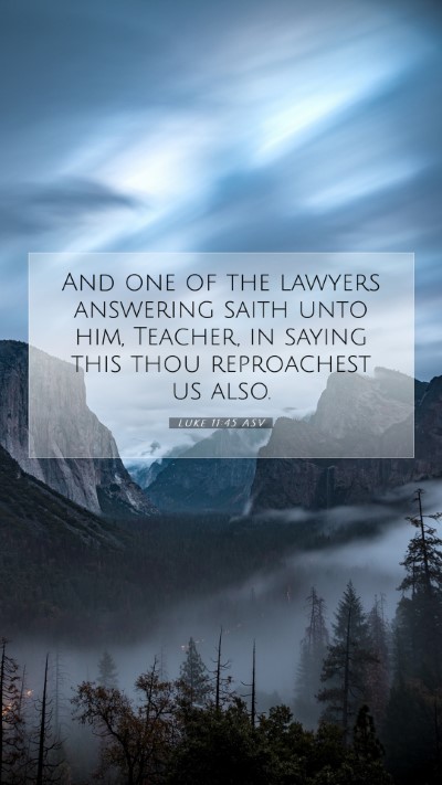 Picture 07 - Luke 11:45 ASV Mobile Phone Wallpaper - And one of the lawyers answering saith unto him, - Mobile Bible Verse Wallpaper