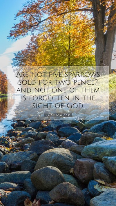 Picture 07 - Luke 12:6 ASV Mobile Phone Wallpaper - Are not five sparrows sold for two pence? and not - Mobile Bible Verse Wallpaper