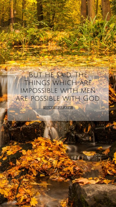 Picture 07 - Luke 18:27 ASV Mobile Phone Wallpaper - But he said, The things which are impossible with - Mobile Bible Verse Wallpaper