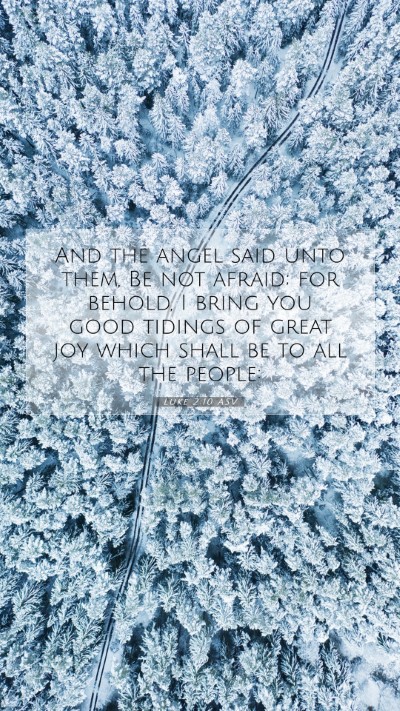 Picture 07 - Luke 2:10 ASV Mobile Phone Wallpaper - And the angel said unto them, Be not afraid; for - Mobile Bible Verse Wallpaper