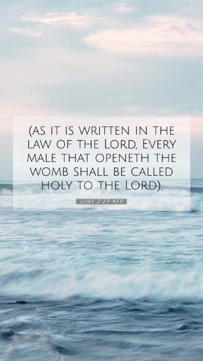 Picture 07 - Luke 2:23 ASV Mobile Phone Wallpaper - (as it is written in the law of the Lord, Every - Mobile Bible Verse Wallpaper