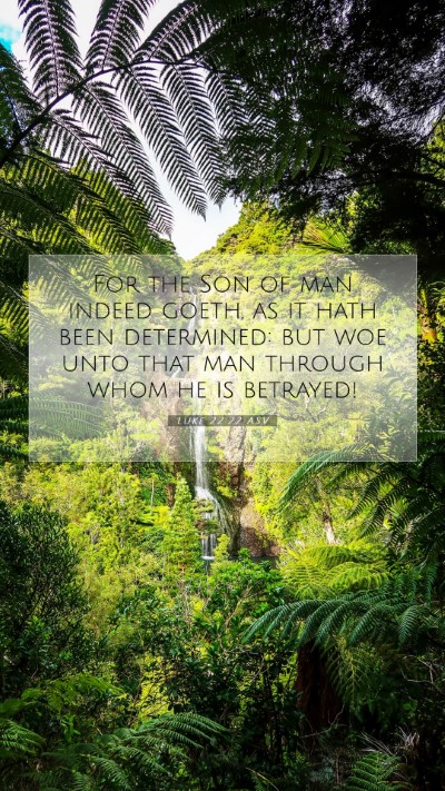 Picture 07 - Luke 22:22 ASV Mobile Phone Wallpaper - For the Son of man indeed goeth, as it hath been - Mobile Bible Verse Wallpaper