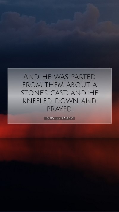 Picture 07 - Luke 22:41 ASV Mobile Phone Wallpaper - And he was parted from them about a stone's cast; - Mobile Bible Verse Wallpaper
