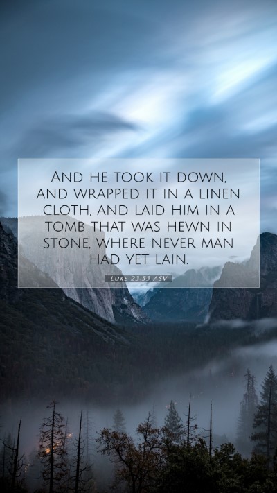 Picture 07 - Luke 23:53 ASV Mobile Phone Wallpaper - And he took it down, and wrapped it in a linen - Mobile Bible Verse Wallpaper