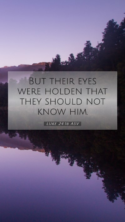 Picture 07 - Luke 24:16 ASV Mobile Phone Wallpaper - But their eyes were holden that they should not - Mobile Bible Verse Wallpaper