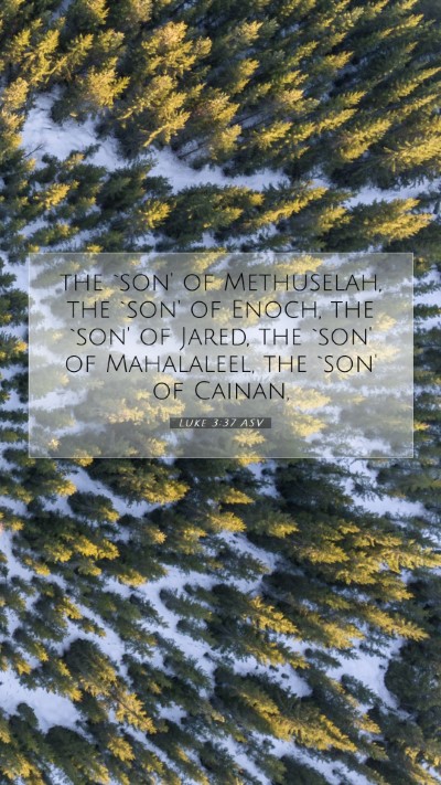 Picture 07 - Luke 3:37 ASV Mobile Phone Wallpaper - the `son' of Methuselah, the `son' of Enoch, the - Mobile Bible Verse Wallpaper