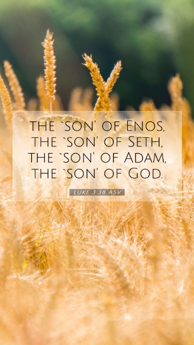 Picture 07 - Luke 3:38 ASV Mobile Phone Wallpaper - the `son' of Enos, the `son' of Seth, the `son' - Mobile Bible Verse Wallpaper