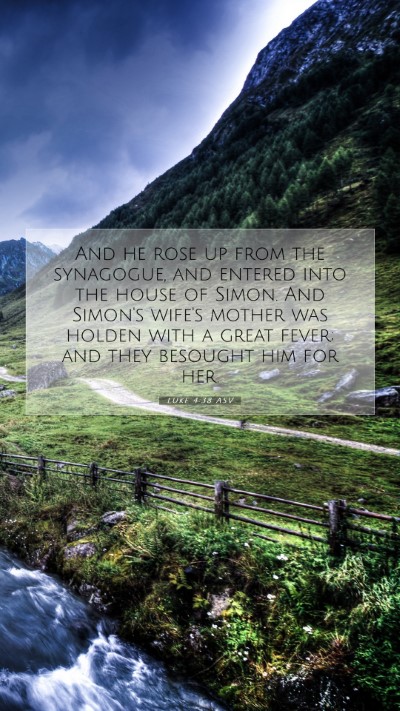 Picture 07 - Luke 4:38 ASV Mobile Phone Wallpaper - And he rose up from the synagogue, and entered - Mobile Bible Verse Wallpaper