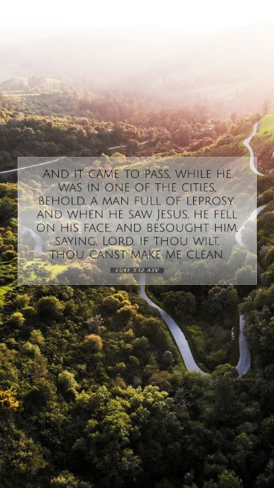 Picture 07 - Luke 5:12 ASV Mobile Phone Wallpaper - And it came to pass, while he was in one of the - Mobile Bible Verse Wallpaper