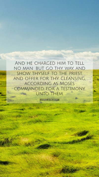 Picture 07 - Luke 5:14 ASV Mobile Phone Wallpaper - And he charged him to tell no man: but go thy - Mobile Bible Verse Wallpaper