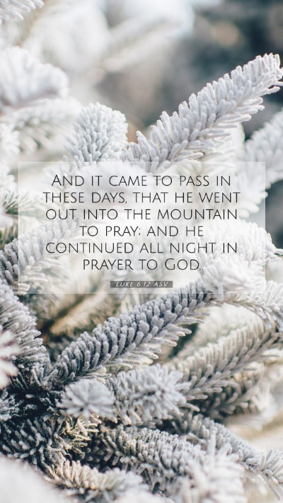 Picture 07 - Luke 6:12 ASV Mobile Phone Wallpaper - And it came to pass in these days, that he went - Mobile Bible Verse Wallpaper