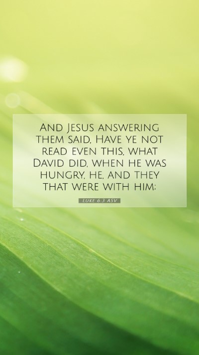 Picture 07 - Luke 6:3 ASV Mobile Phone Wallpaper - And Jesus answering them said, Have ye not read - Mobile Bible Verse Wallpaper