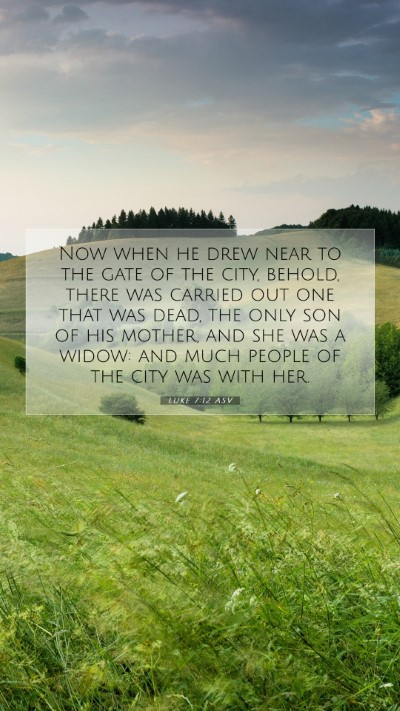 Picture 07 - Luke 7:12 ASV Mobile Phone Wallpaper - Now when he drew near to the gate of the city, - Mobile Bible Verse Wallpaper