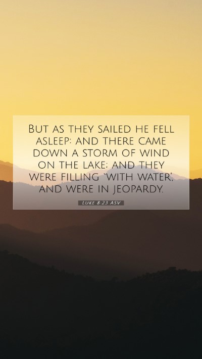 Picture 07 - Luke 8:23 ASV Mobile Phone Wallpaper - But as they sailed he fell asleep: and there came - Mobile Bible Verse Wallpaper