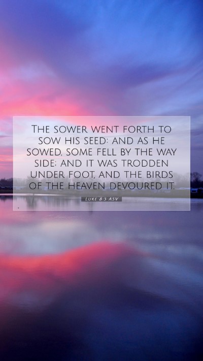 Picture 07 - Luke 8:5 ASV Mobile Phone Wallpaper - The sower went forth to sow his seed: and as he - Mobile Bible Verse Wallpaper