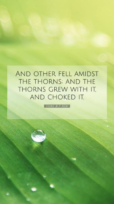 Picture 07 - Luke 8:7 ASV Mobile Phone Wallpaper - And other fell amidst the thorns; and the thorns - Mobile Bible Verse Wallpaper