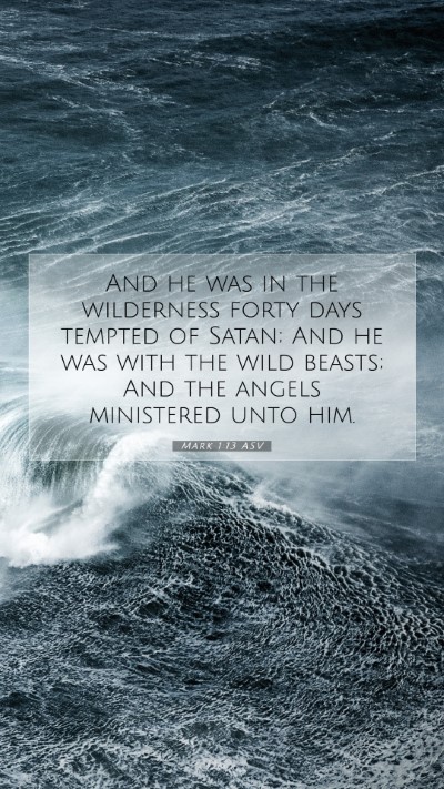 Picture 07 - Mark 1:13 ASV Mobile Phone Wallpaper - And he was in the wilderness forty days tempted - Mobile Bible Verse Wallpaper