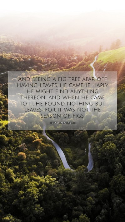 Picture 07 - Mark 11:13 ASV Mobile Phone Wallpaper - And seeing a fig tree afar off having leaves, he - Mobile Bible Verse Wallpaper