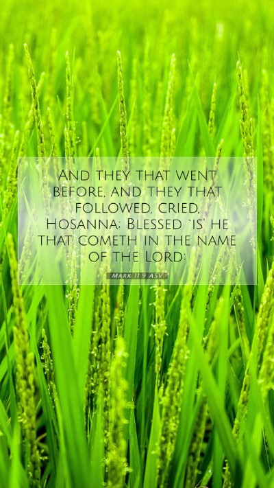 Picture 07 - Mark 11:9 ASV Mobile Phone Wallpaper - And they that went before, and they that - Mobile Bible Verse Wallpaper