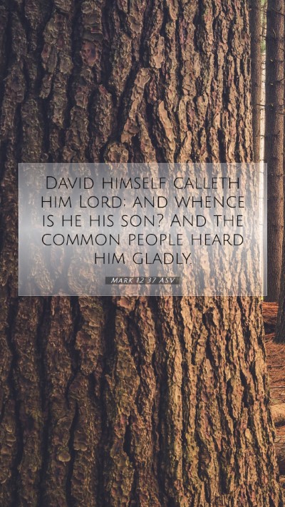 Picture 07 - Mark 12:37 ASV Mobile Phone Wallpaper - David himself calleth him Lord; and whence is he - Mobile Bible Verse Wallpaper