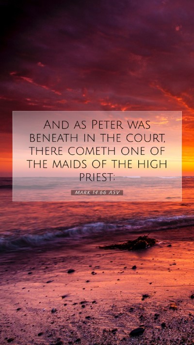 Picture 07 - Mark 14:66 ASV Mobile Phone Wallpaper - And as Peter was beneath in the court, there - Mobile Bible Verse Wallpaper