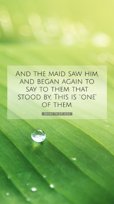 Picture 07 - Mark 14:69 ASV Mobile Phone Wallpaper - And the maid saw him, and began again to say to - Mobile Bible Verse Wallpaper