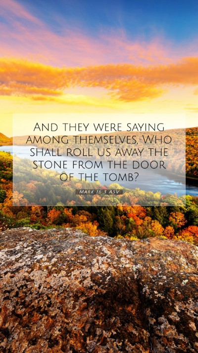 Picture 07 - Mark 16:3 ASV Mobile Phone Wallpaper - And they were saying among themselves, Who shall - Mobile Bible Verse Wallpaper
