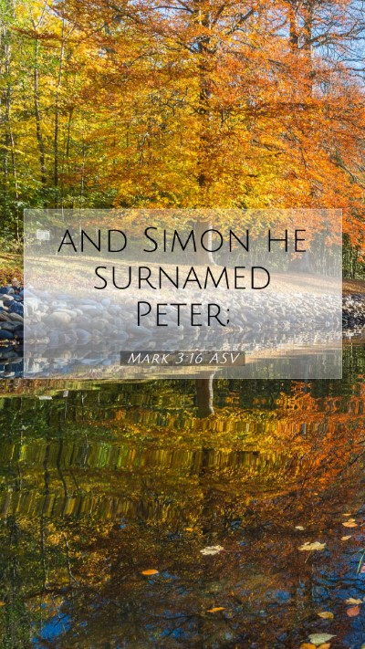 Picture 07 - Mark 3:16 ASV Mobile Phone Wallpaper - and Simon he surnamed - Mobile Bible Verse Wallpaper