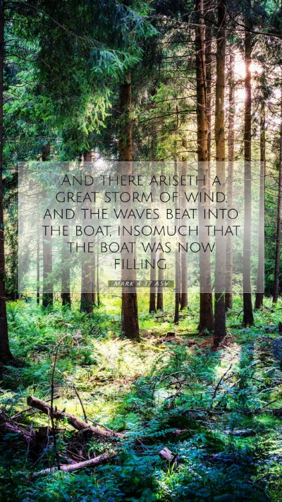 Picture 07 - Mark 4:37 ASV Mobile Phone Wallpaper - And there ariseth a great storm of wind, and the - Mobile Bible Verse Wallpaper