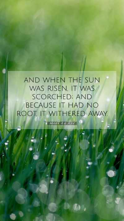 Picture 07 - Mark 4:6 ASV Mobile Phone Wallpaper - and when the sun was risen, it was scorched; and - Mobile Bible Verse Wallpaper